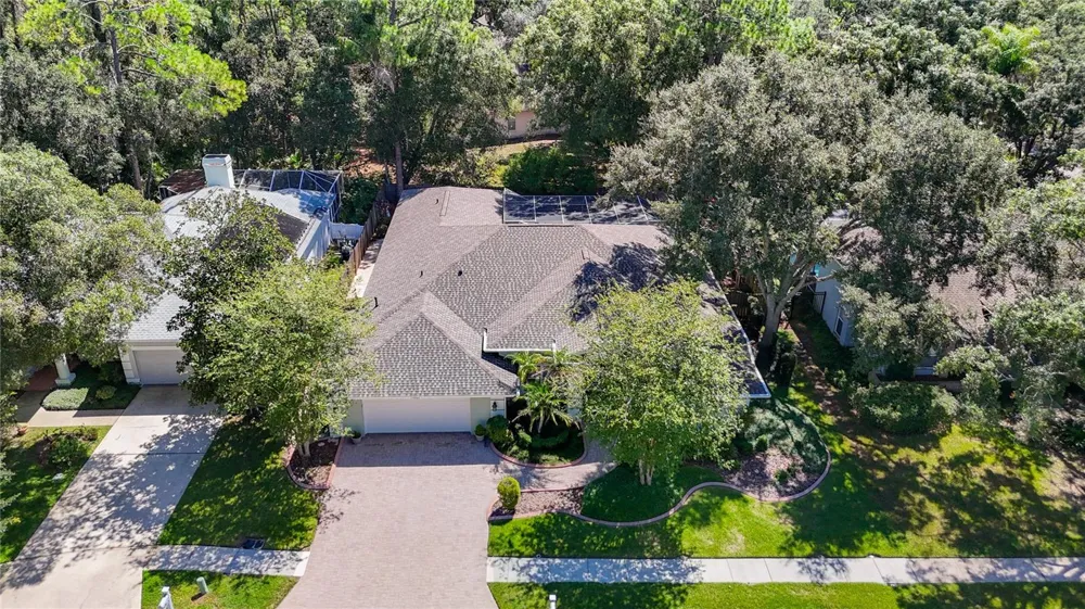 15903 BROCKWAY PLACE Tampa, FL 33647