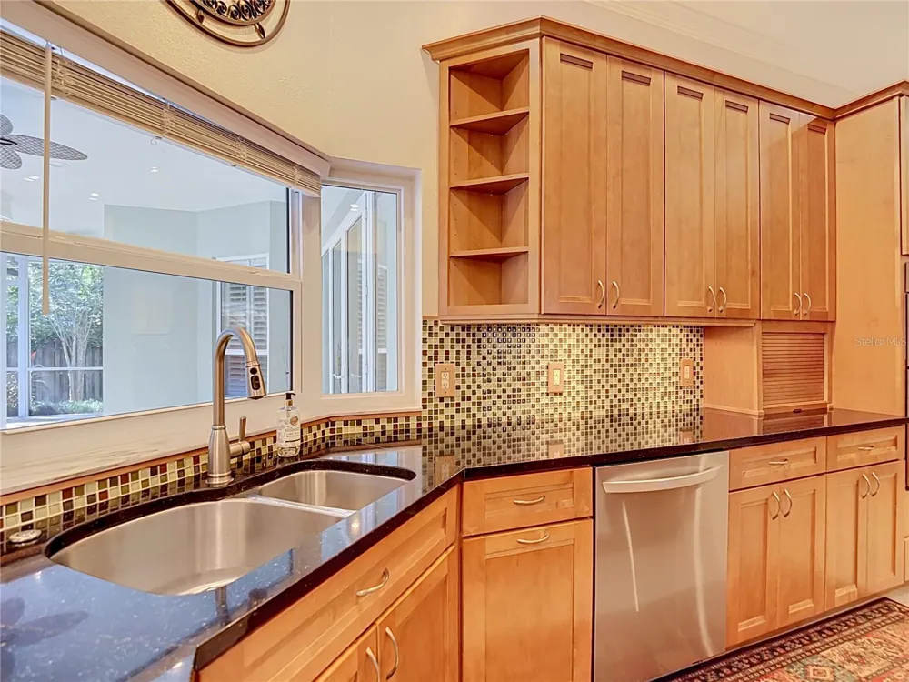 15903 BROCKWAY PLACE Tampa, FL 33647