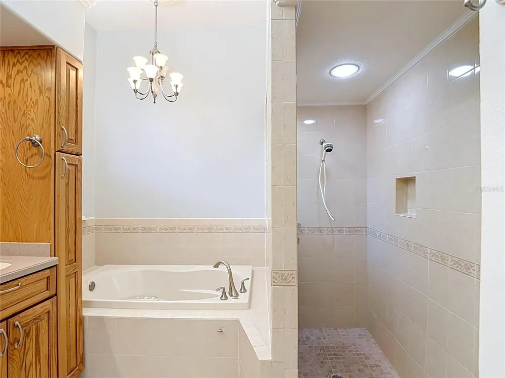 15903 BROCKWAY PLACE Tampa, FL 33647