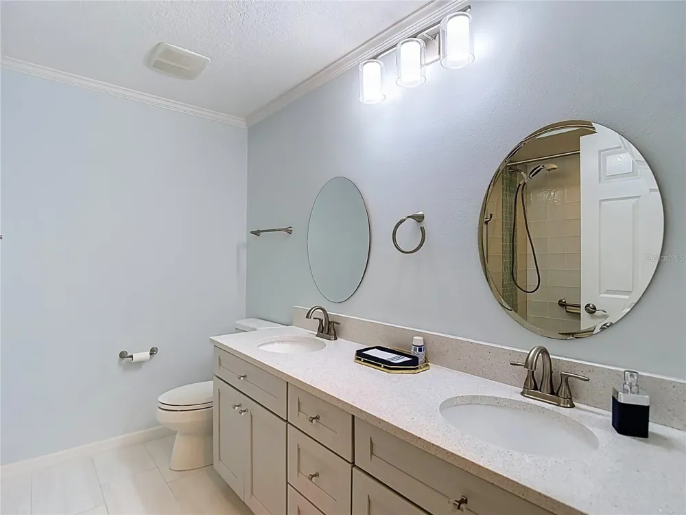 15903 BROCKWAY PLACE Tampa, FL 33647