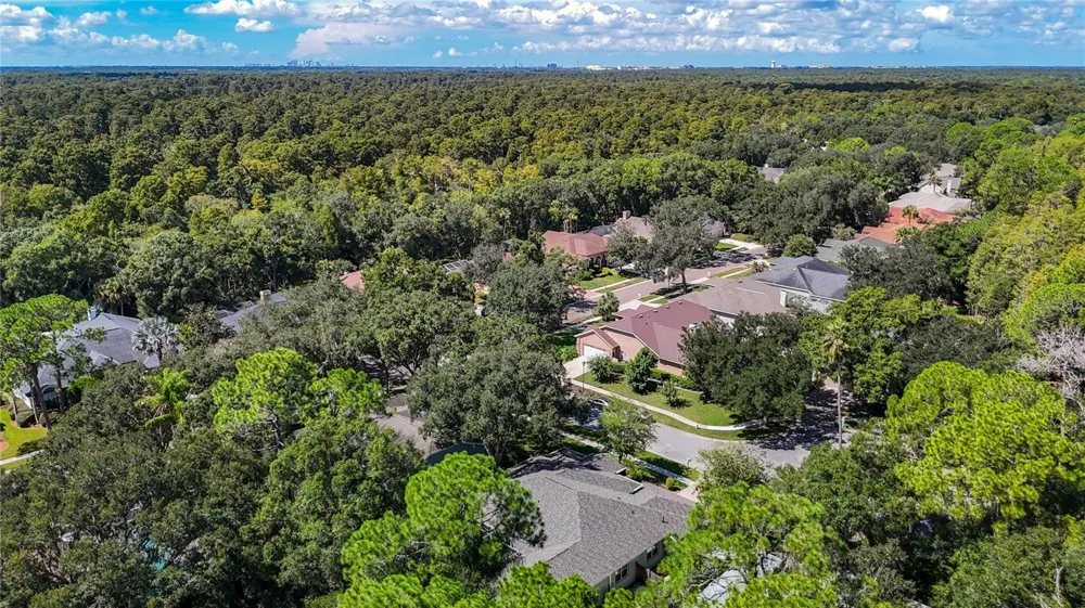 15903 BROCKWAY PLACE Tampa, FL 33647