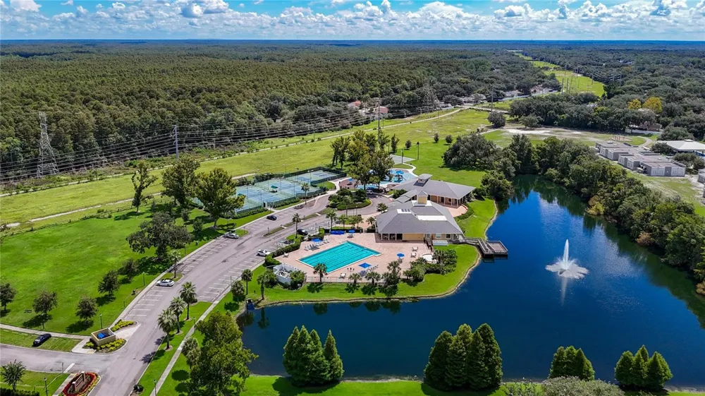 15903 BROCKWAY PLACE Tampa, FL 33647