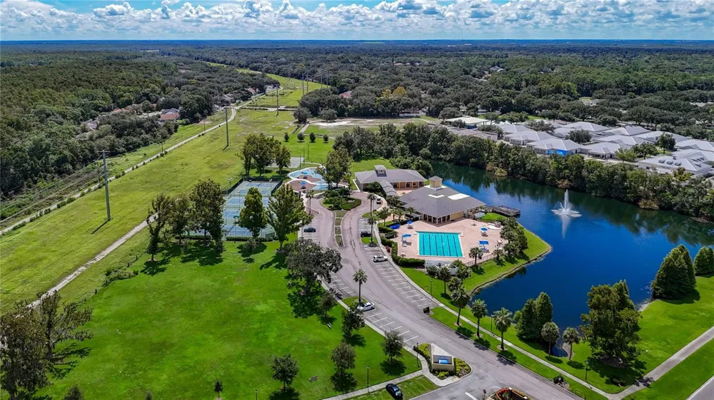 15903 BROCKWAY PLACE Tampa, FL 33647