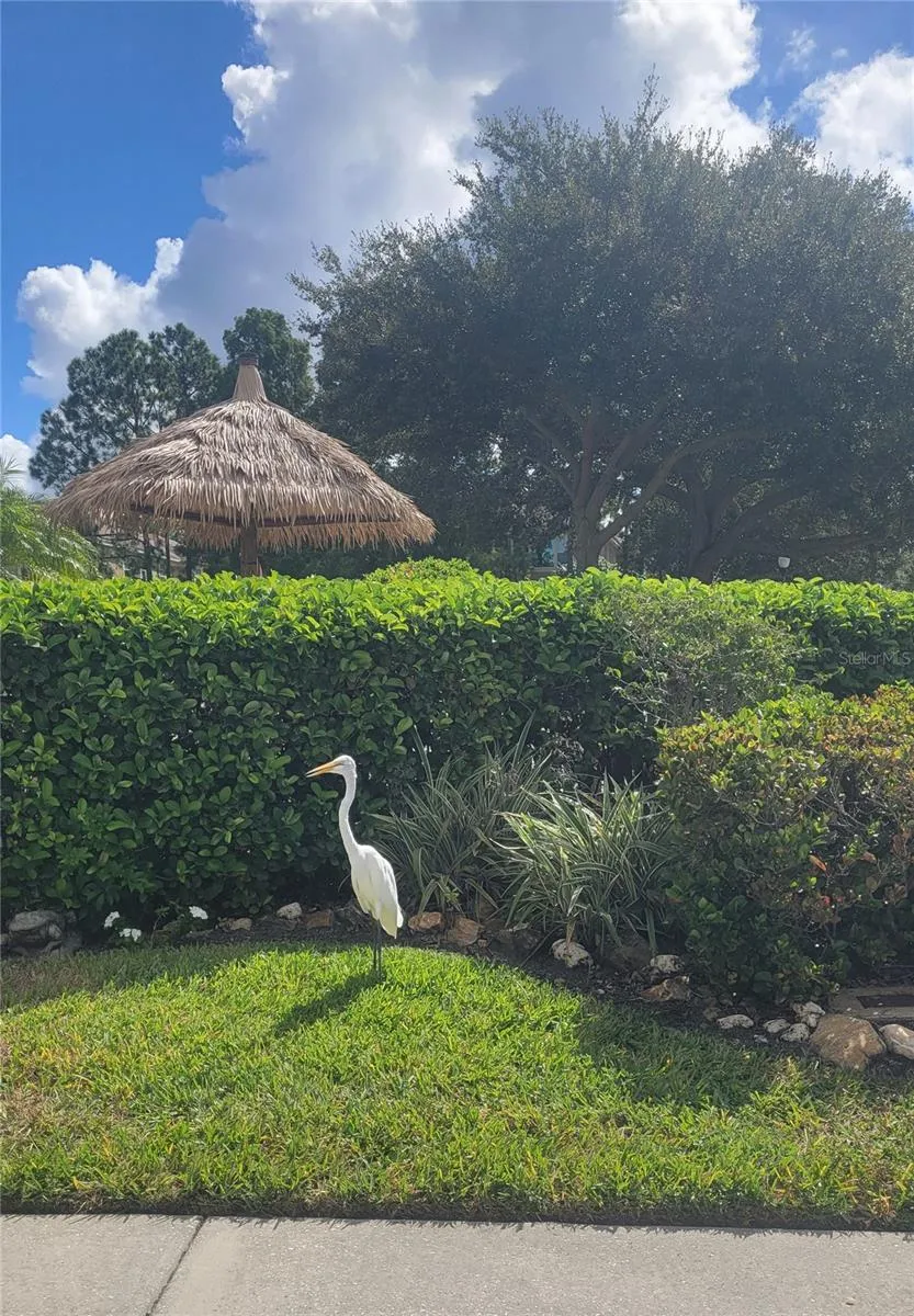 2511 NEWBERN DRIVE Clearwater, FL 33761