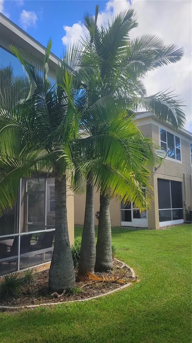 2511 NEWBERN DRIVE Clearwater, FL 33761