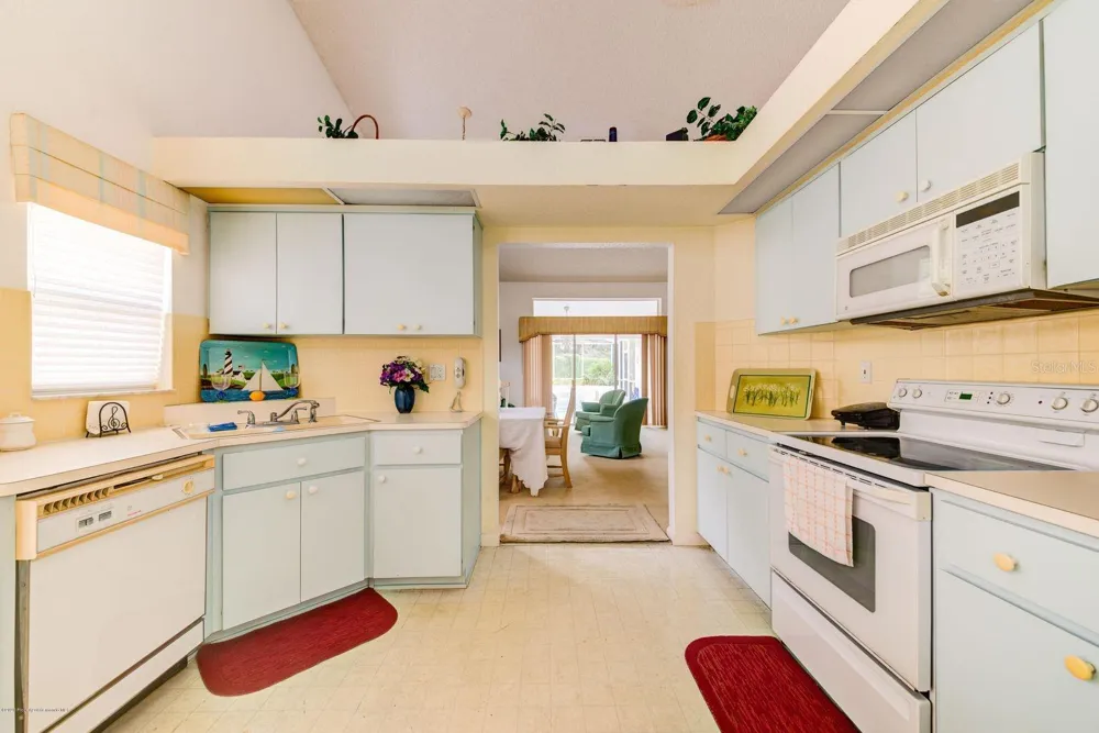 9408 NEW ORLEANS DRIVE Weeki Wachee, FL 34613