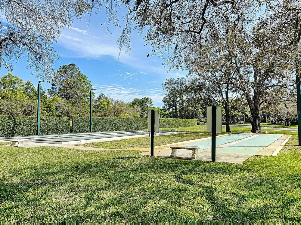 9408 NEW ORLEANS DRIVE Weeki Wachee, FL 34613