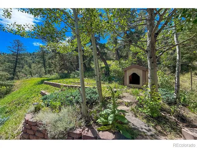 1108 Eagle Drive Lyons, CO 80540