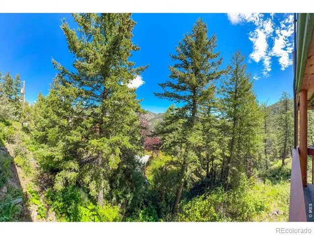 1108 Eagle Drive Lyons, CO 80540