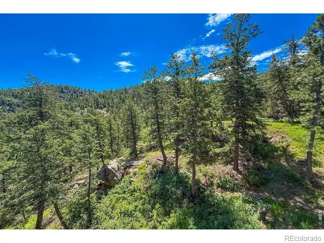 1108 Eagle Drive Lyons, CO 80540