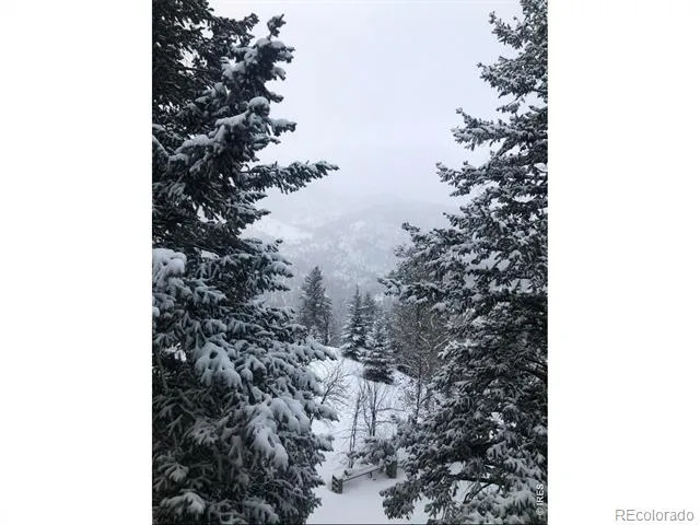1108 Eagle Drive Lyons, CO 80540