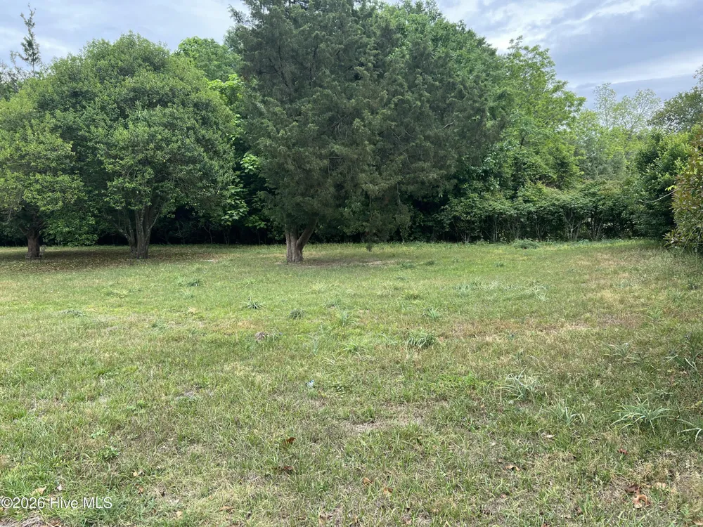 1221 S 8th Street Wilmington, NC 28401