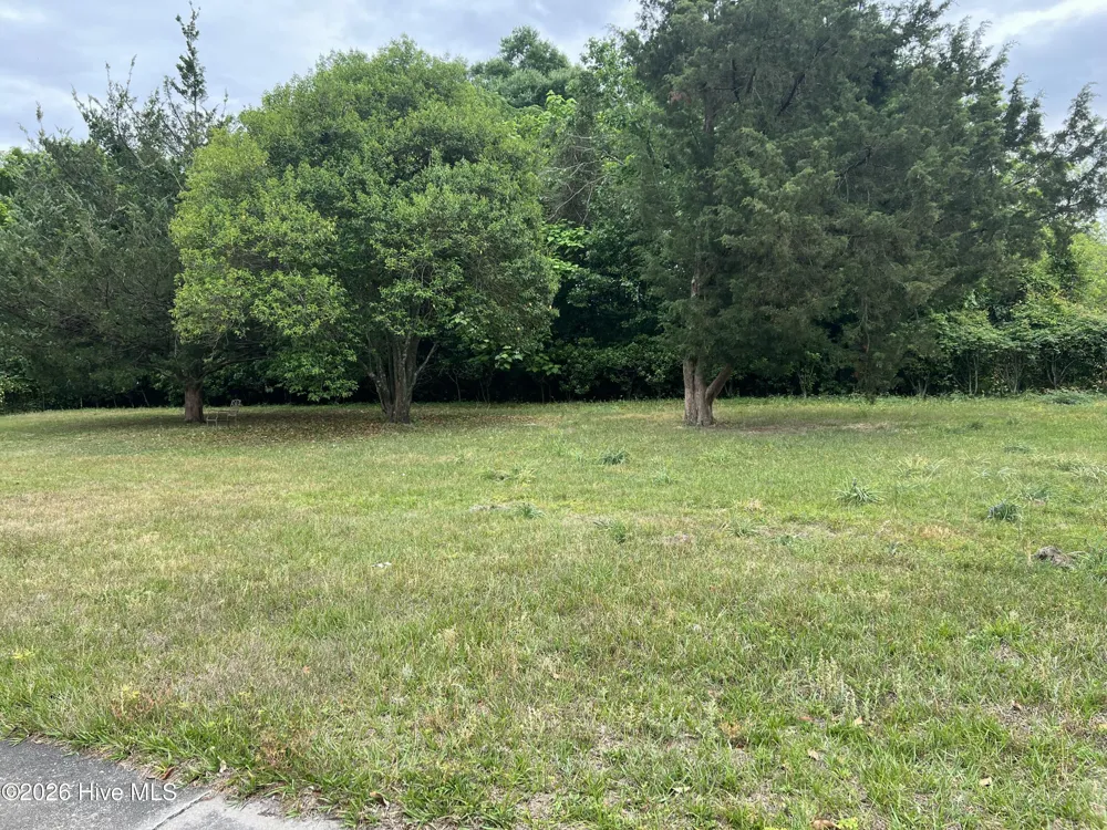 1221 S 8th Street Wilmington, NC 28401