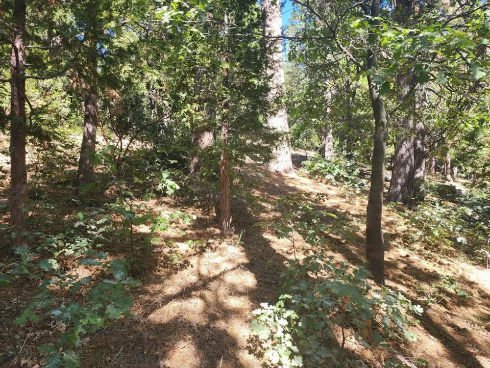 Grass Valley Lake Arrowhead, CA 92352