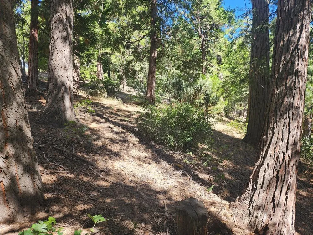 Grass Valley Lake Arrowhead, CA 92352