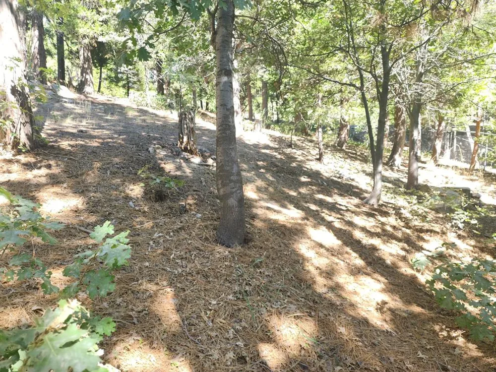 Grass Valley Lake Arrowhead, CA 92352