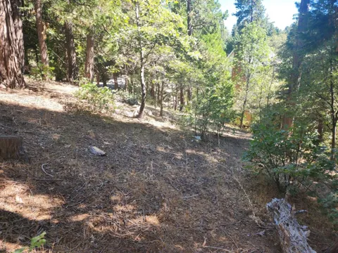 Grass Valley