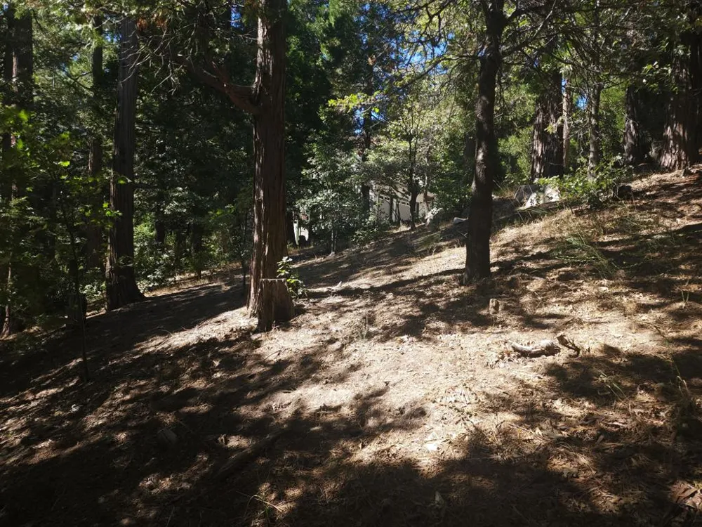 Grass Valley Lake Arrowhead, CA 92352