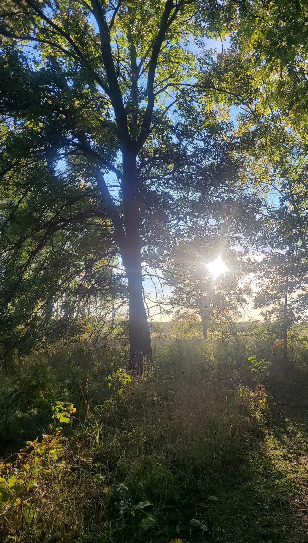 M-48 Pickford Township, MI 49774