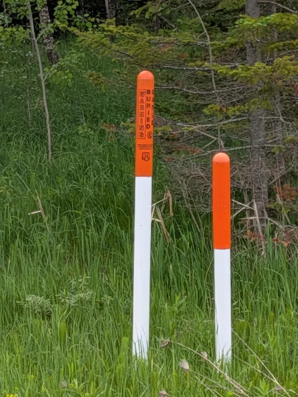 M-48 Pickford Township, MI 49774