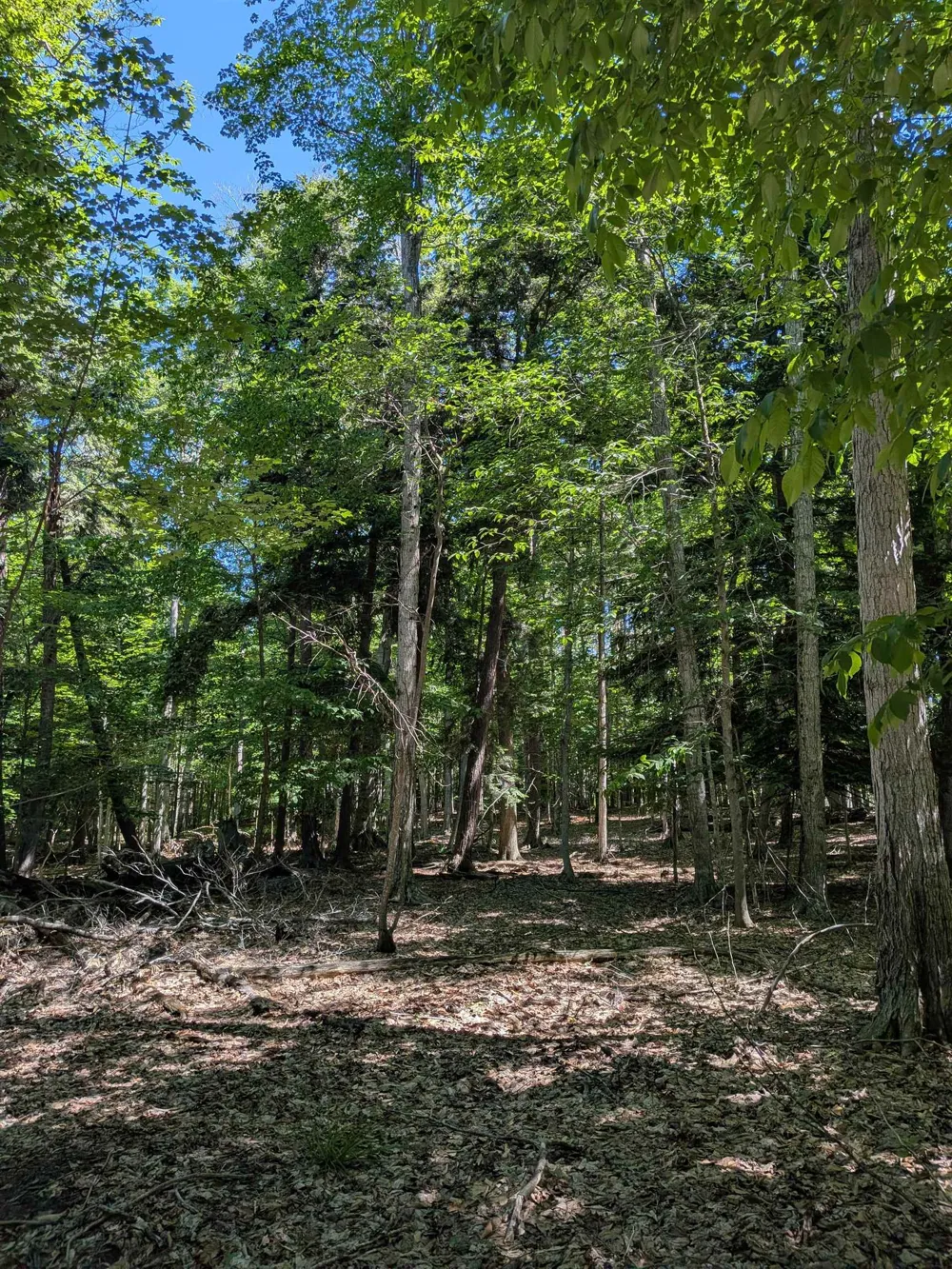 M-48 Pickford Township, MI 49774