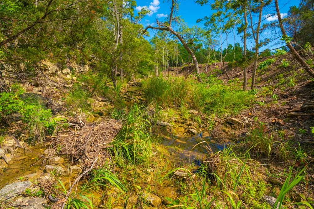 Spring Haven Ranch Wimberley, TX 78676