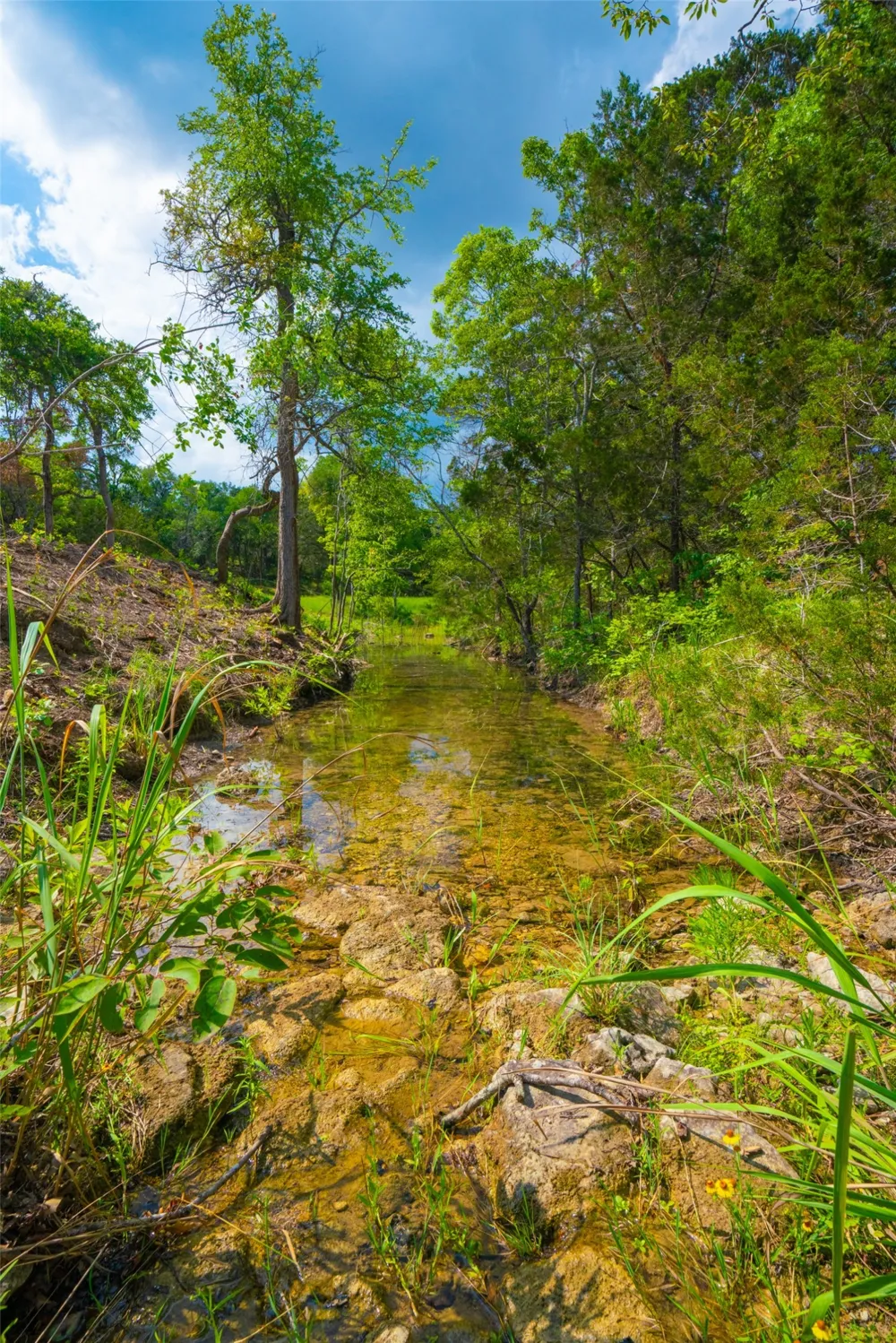Spring Haven Ranch Wimberley, TX 78676
