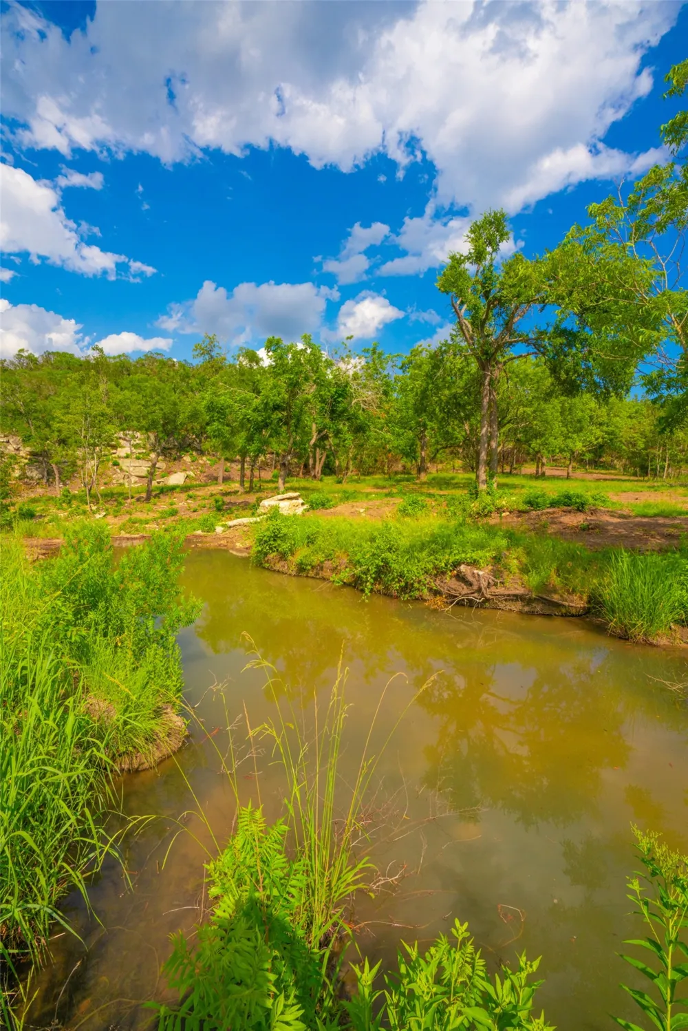Spring Haven Ranch Wimberley, TX 78676