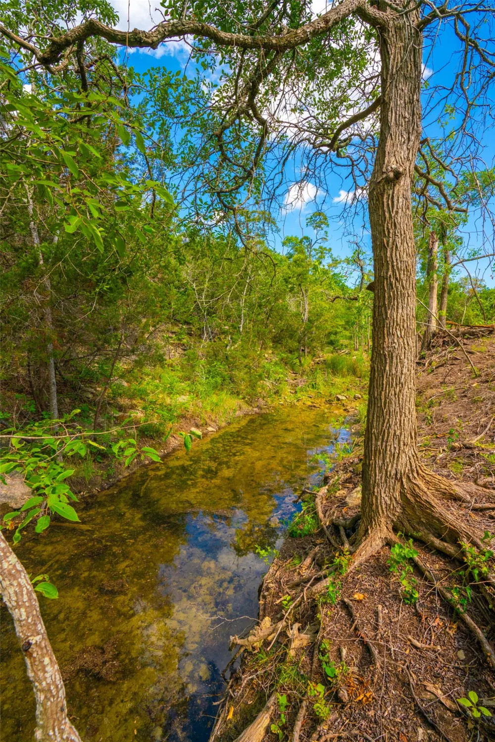 Spring Haven Ranch Wimberley, TX 78676