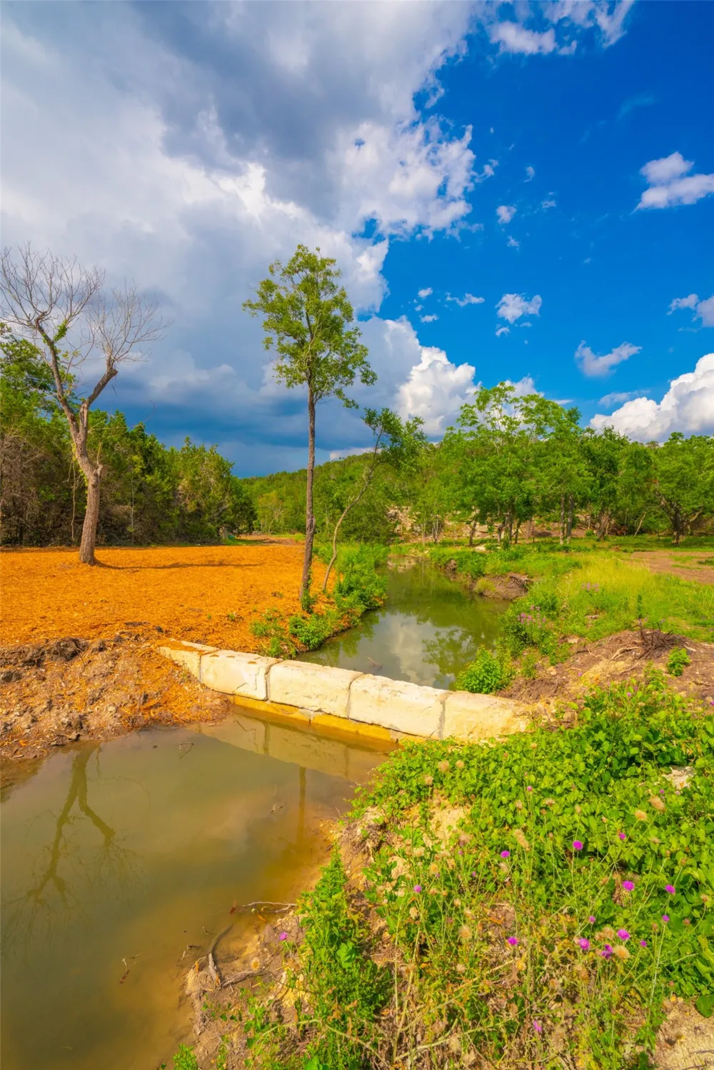 Spring Haven Ranch Wimberley, TX 78676