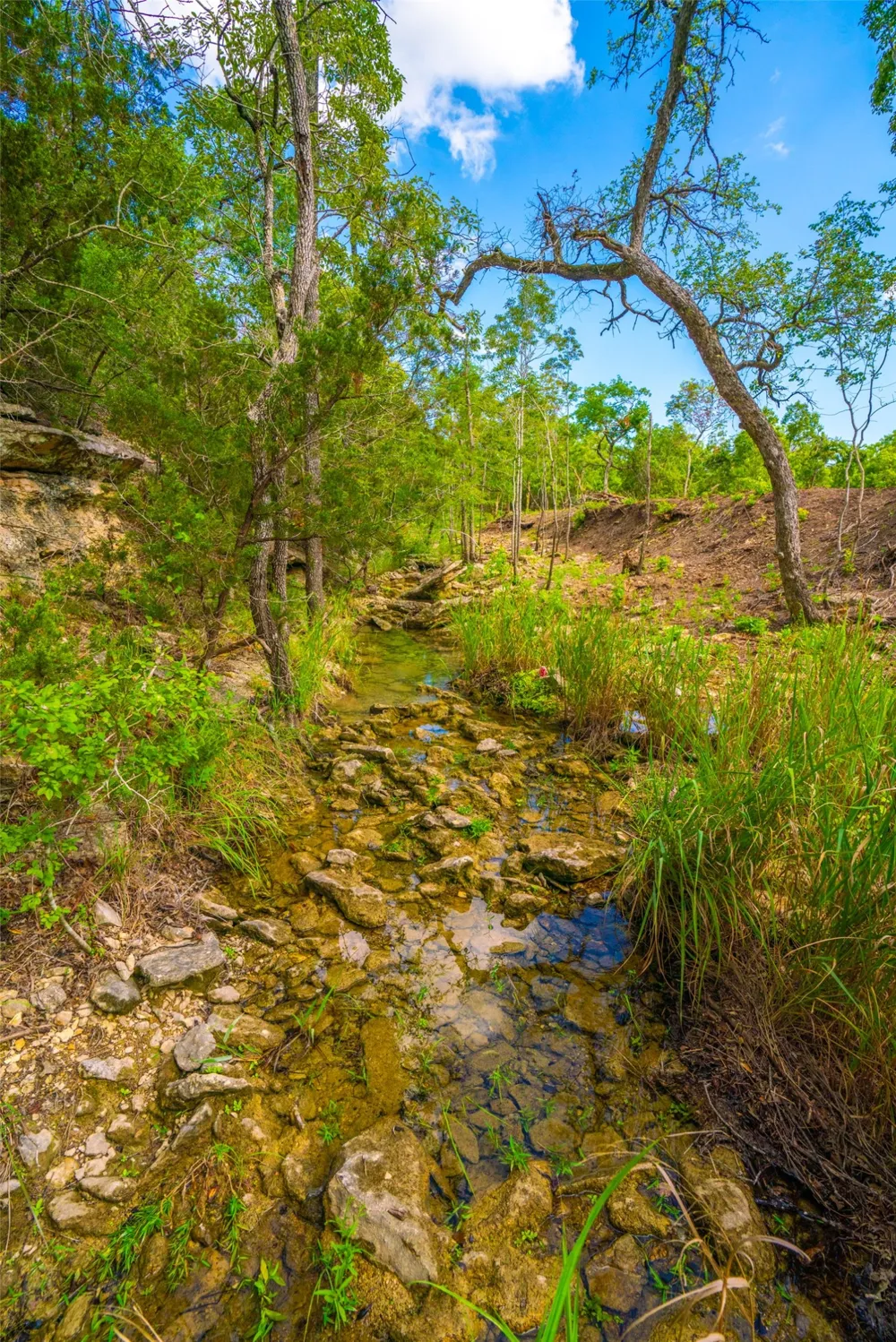 Spring Haven Ranch Wimberley, TX 78676