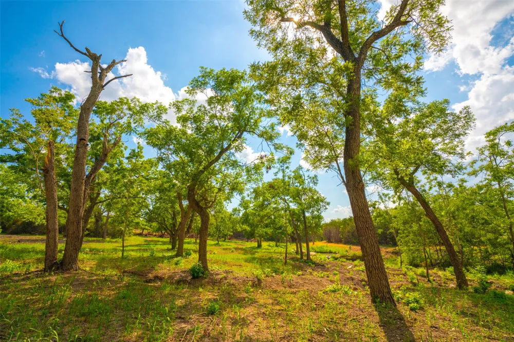 Spring Haven Ranch Wimberley, TX 78676
