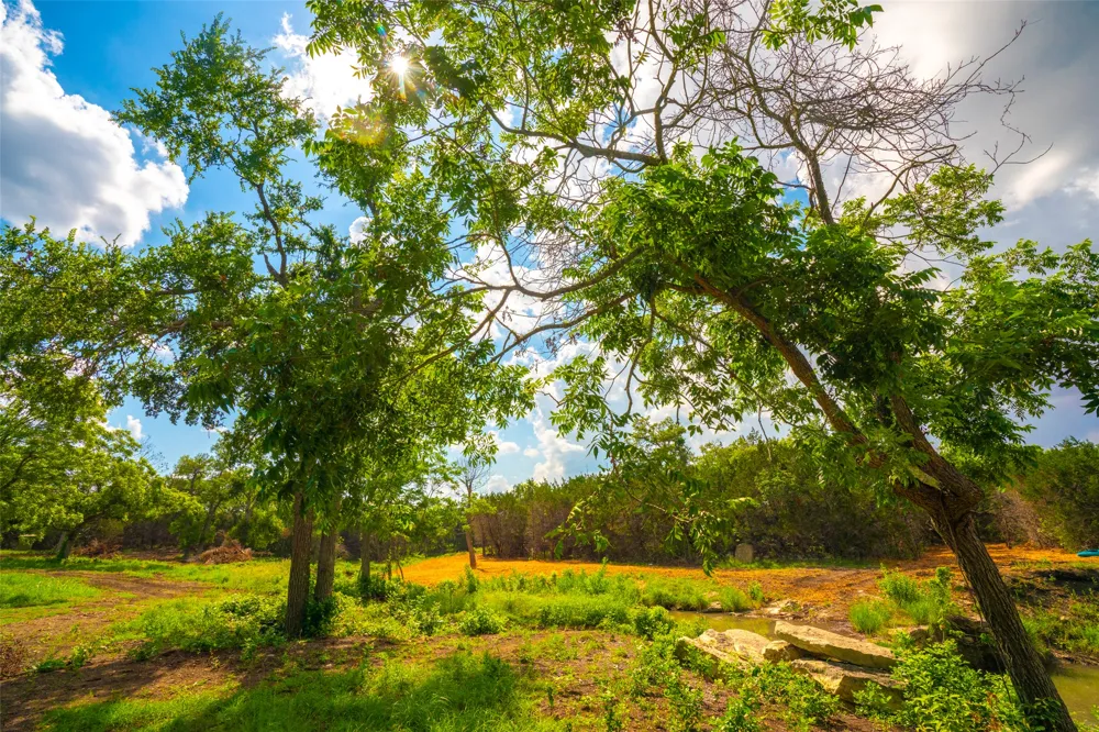 Spring Haven Ranch Wimberley, TX 78676