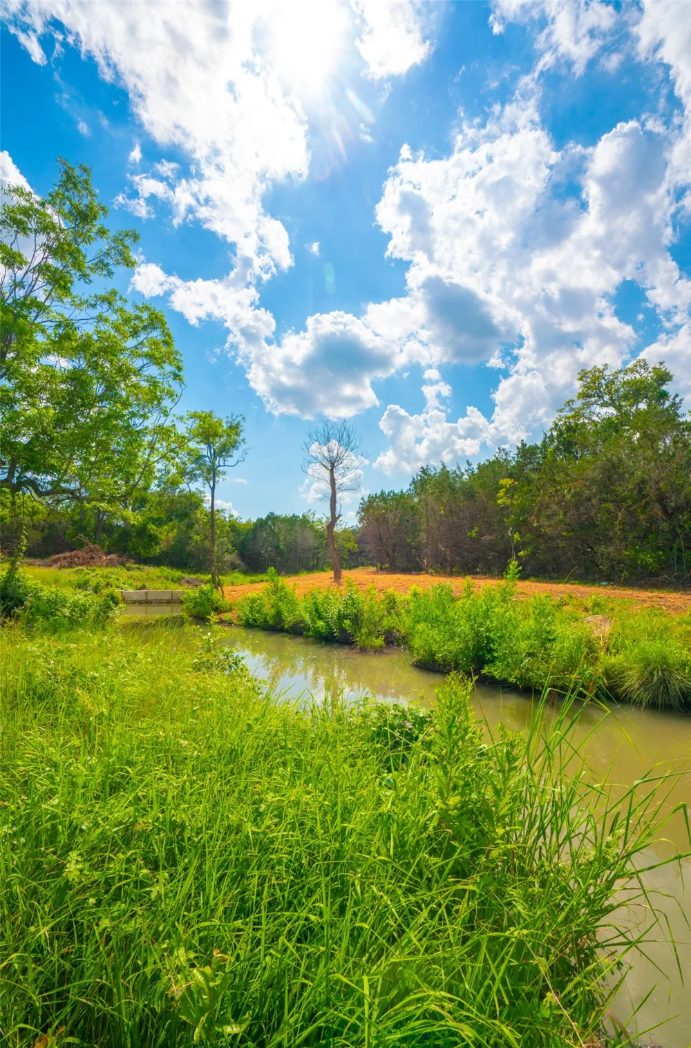 Spring Haven Ranch Wimberley, TX 78676