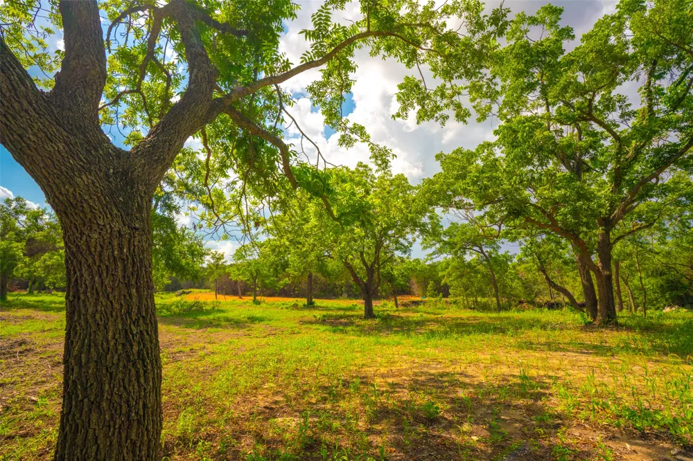 Spring Haven Ranch Wimberley, TX 78676