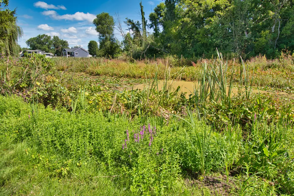 22244 US-12 Edwardsburg, MI 49112