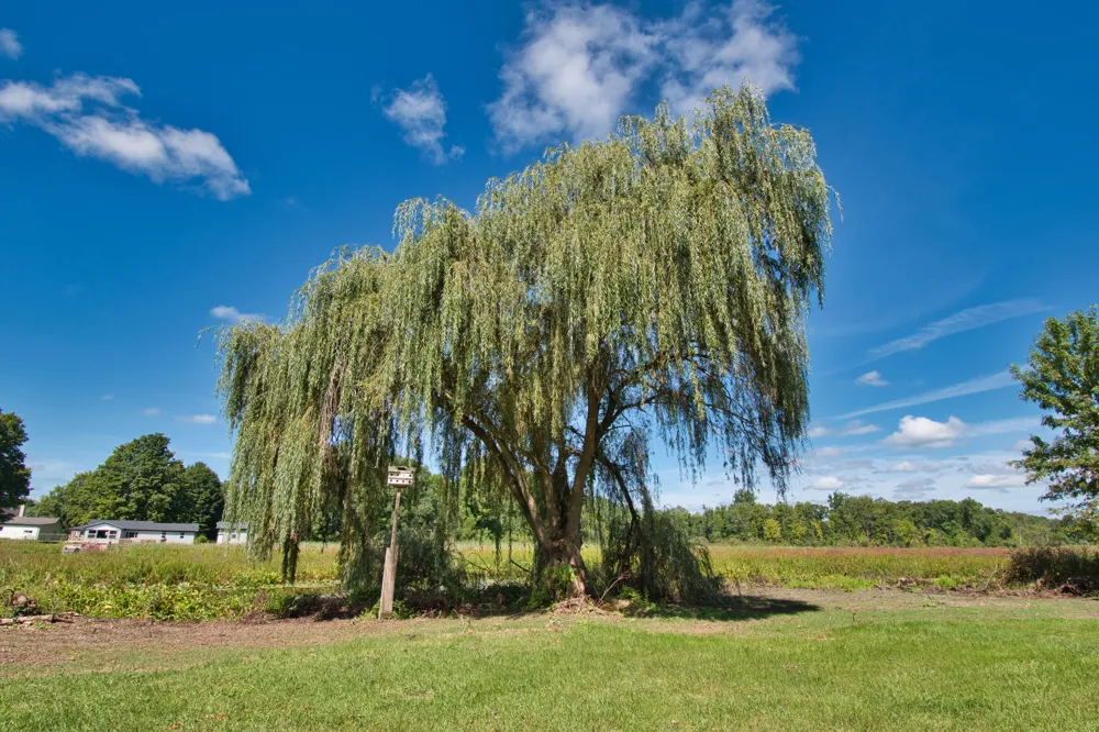 22244 US-12 Edwardsburg, MI 49112