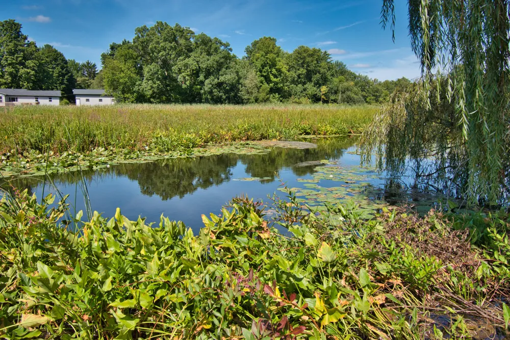 22244 US-12 Edwardsburg, MI 49112