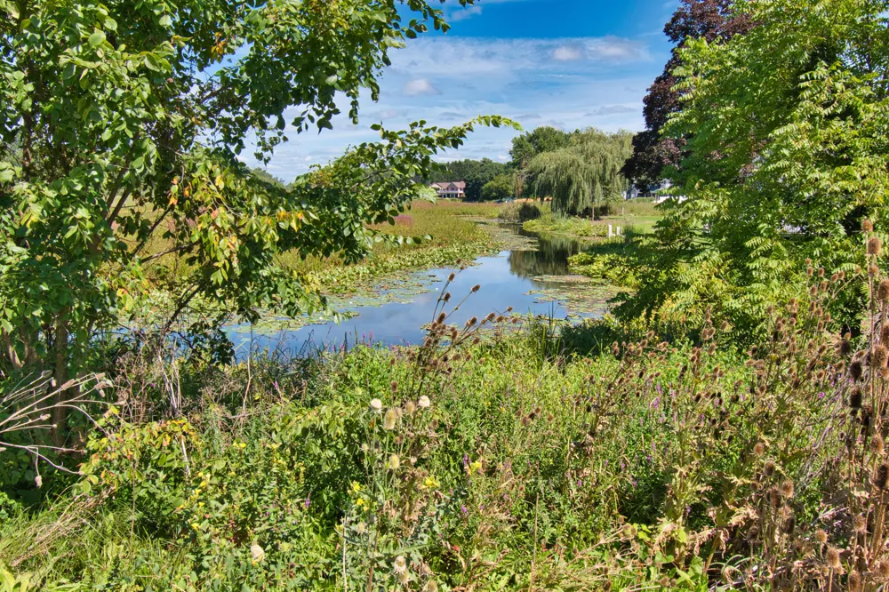 22244 US-12 Edwardsburg, MI 49112