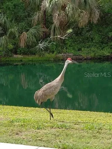 2436 ARUGULA DRIVE North Port, FL 34289