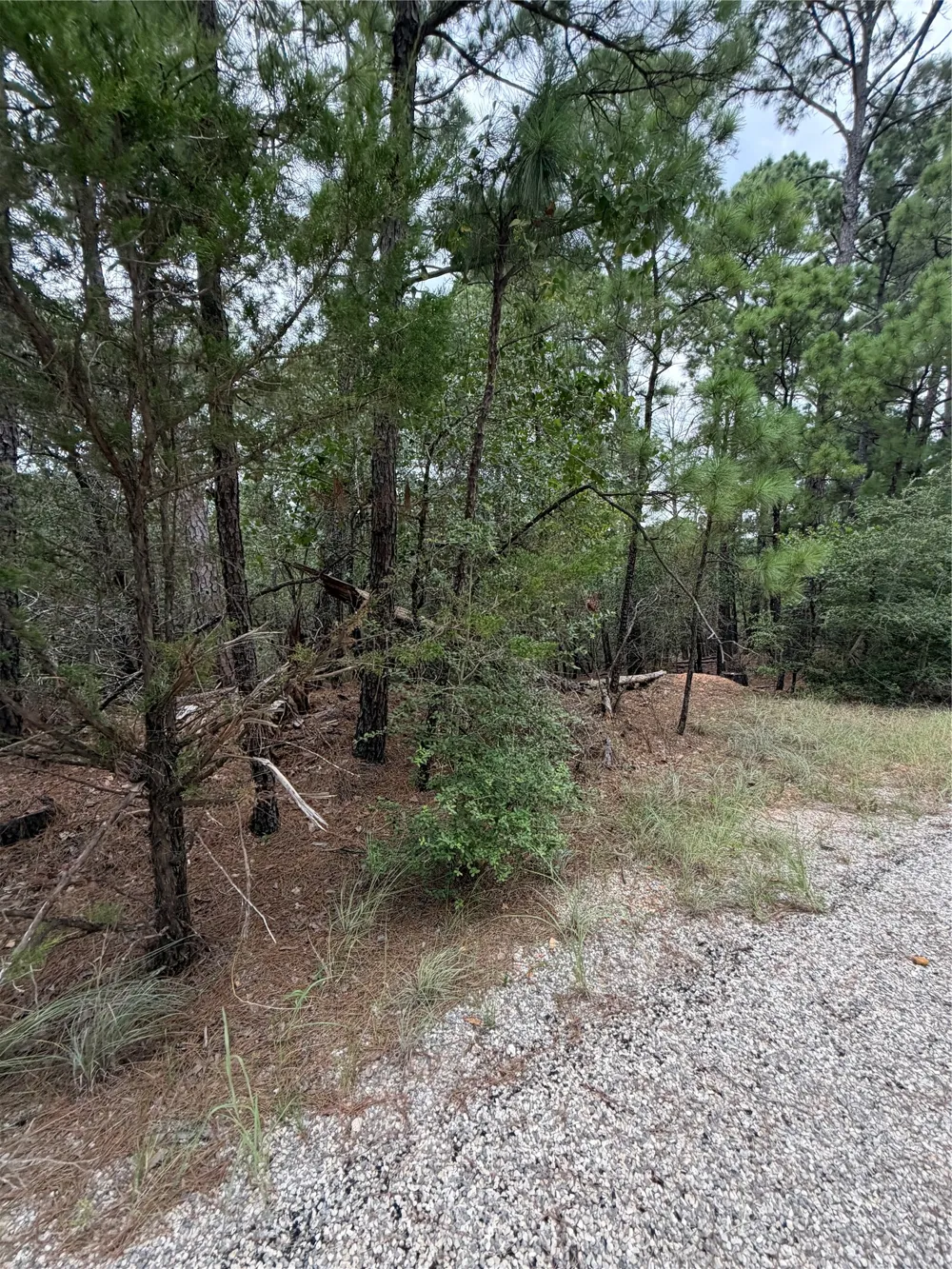 216 Hekili Drive Bastrop, TX 78602