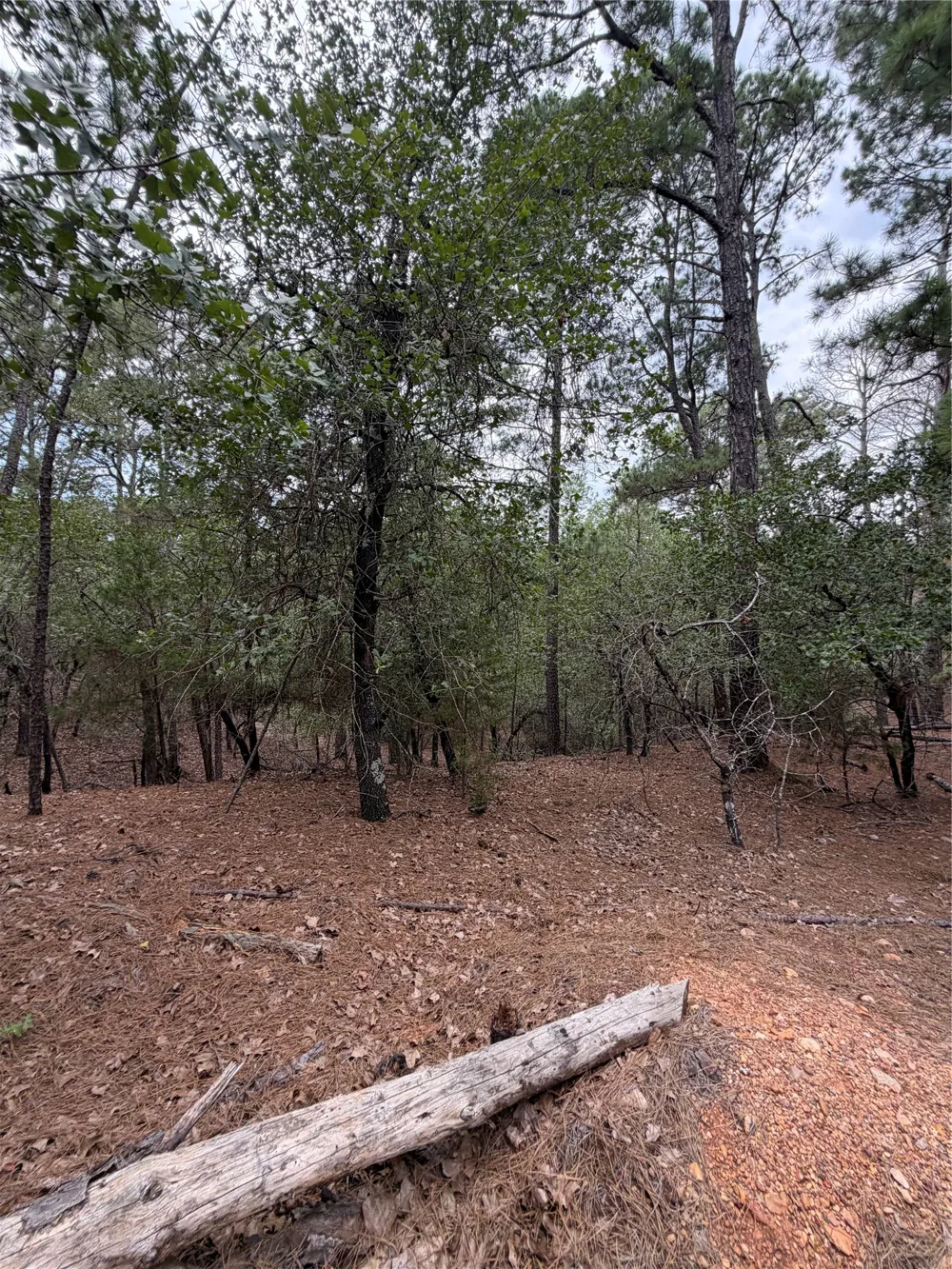 216 Hekili Drive Bastrop, TX 78602
