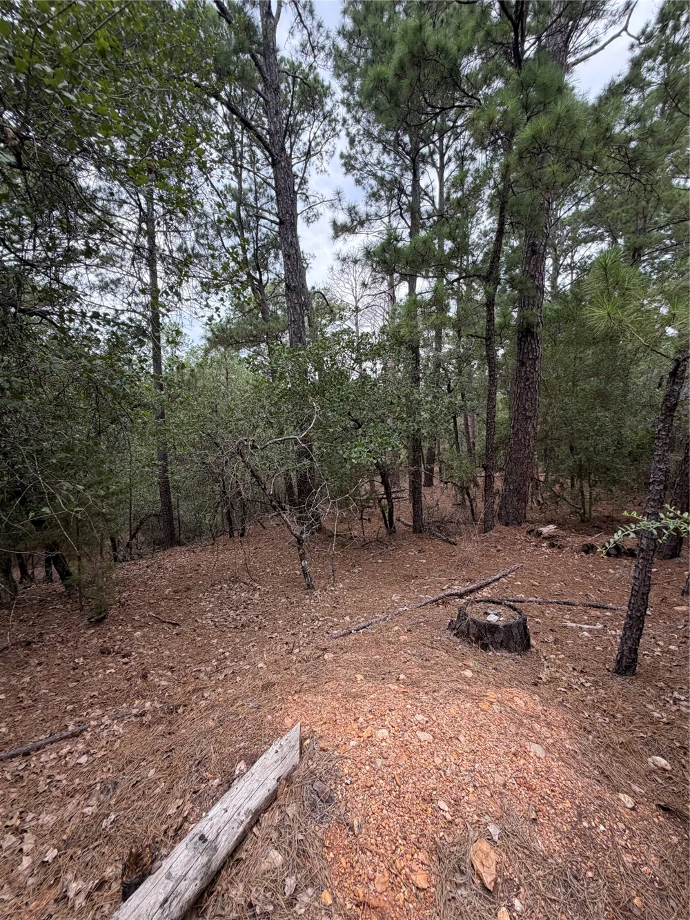 216 Hekili Drive Bastrop, TX 78602