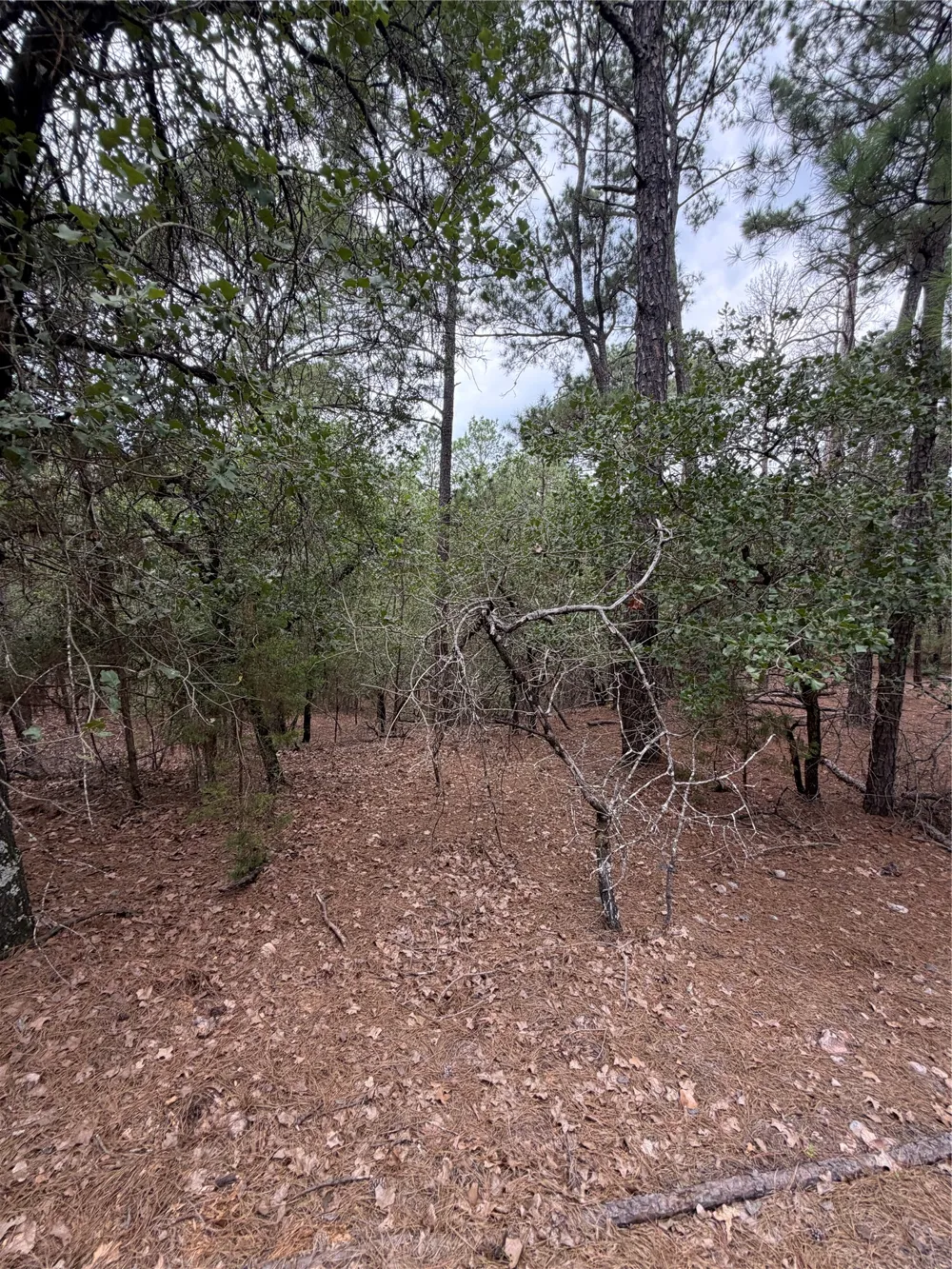 216 Hekili Drive Bastrop, TX 78602