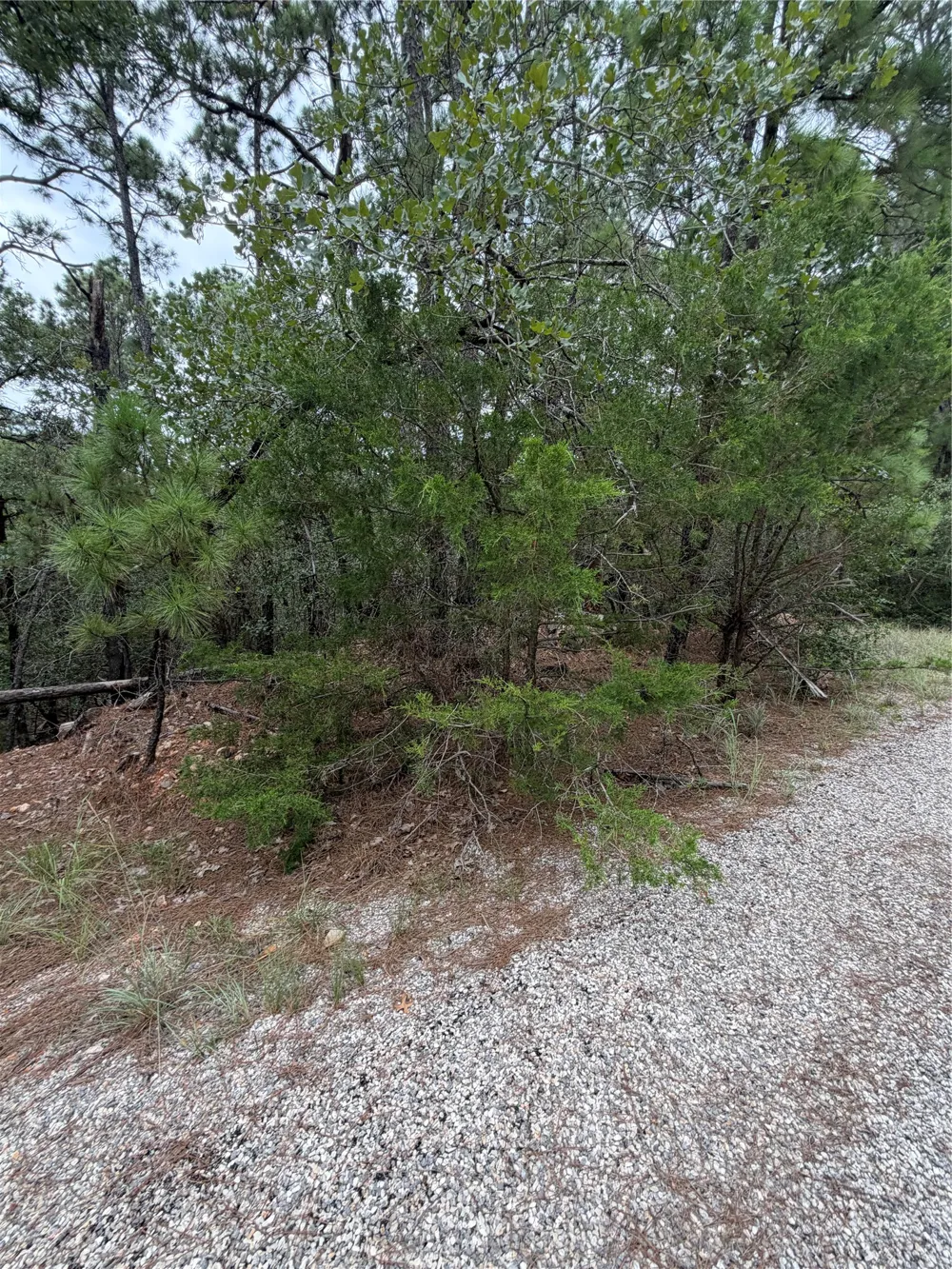 216 Hekili Drive Bastrop, TX 78602