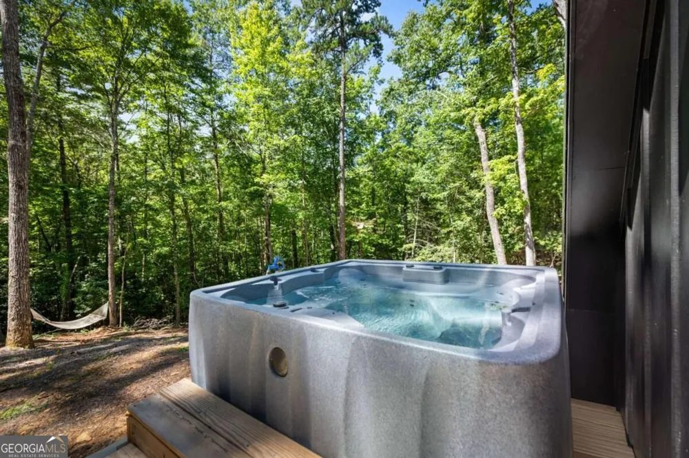 223 Laurel TRCE Blue Ridge, GA 30513