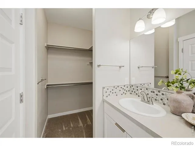 3673 Taylor Walker Street Loveland, CO 80537