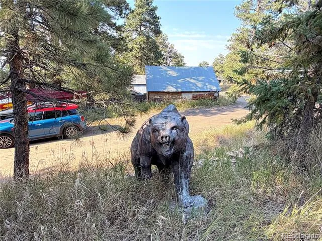 25 Pine Road Golden, CO 80401