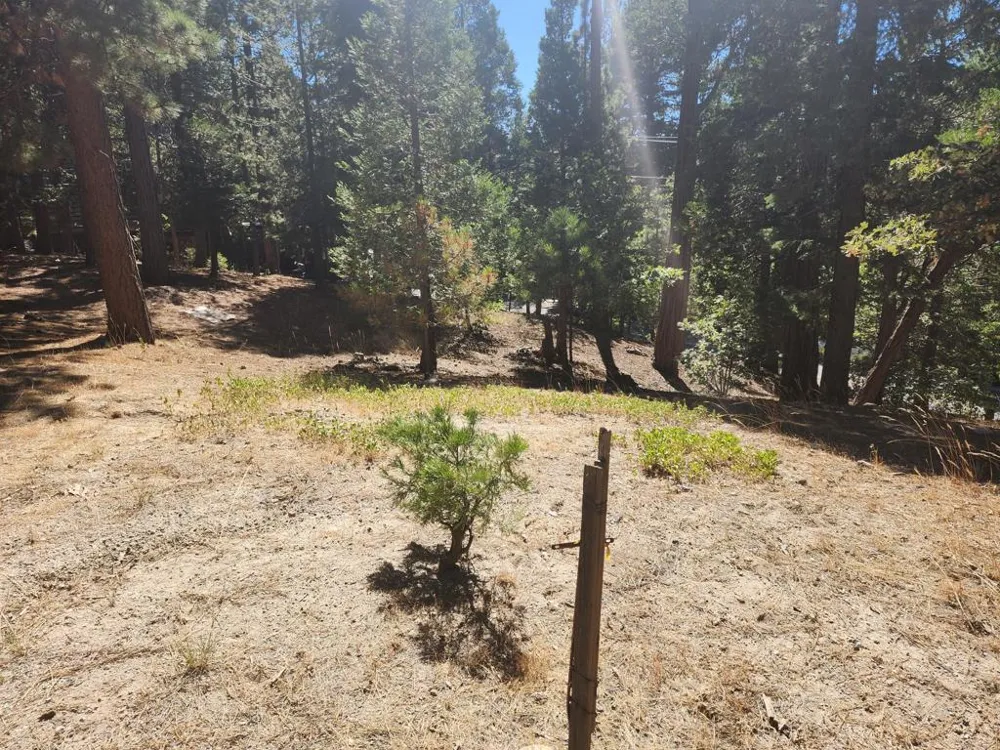 Grass Valley Lake Arrowhead, CA 92352