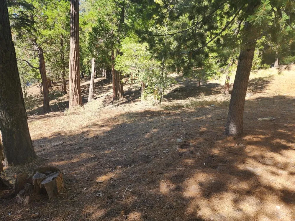 Grass Valley Lake Arrowhead, CA 92352